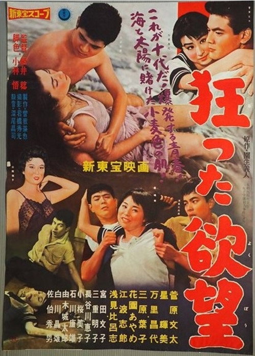 Crazy Desire (1959) poster