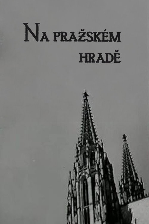 The Prague Castle