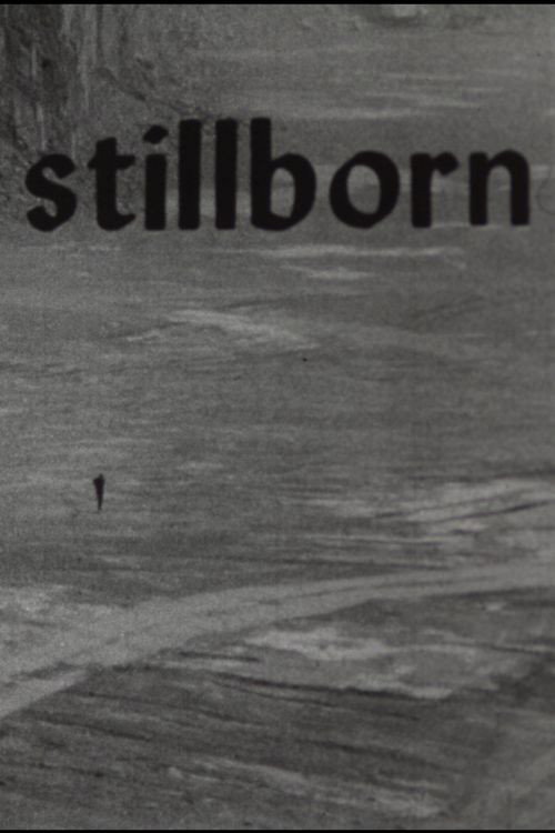 Stillborn (1966) poster