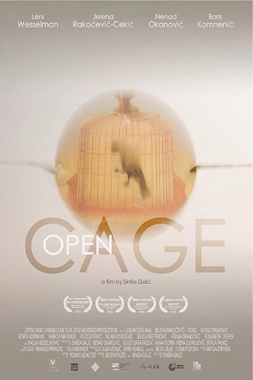 Open Cage (2015) poster