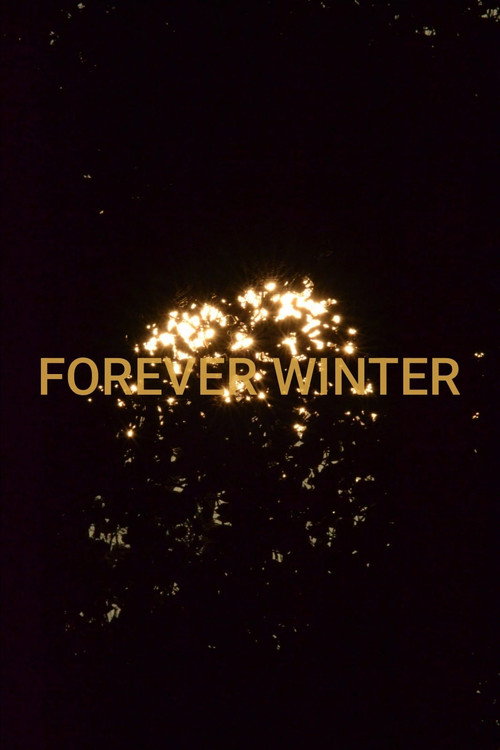 Forever Winter (2026) poster