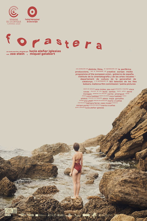Foreigner (2020) poster