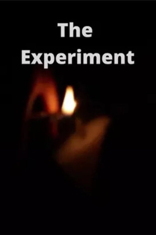 The Experiment (2022) poster