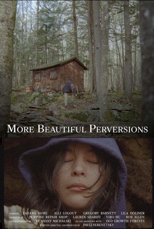 More Beautiful Perversions