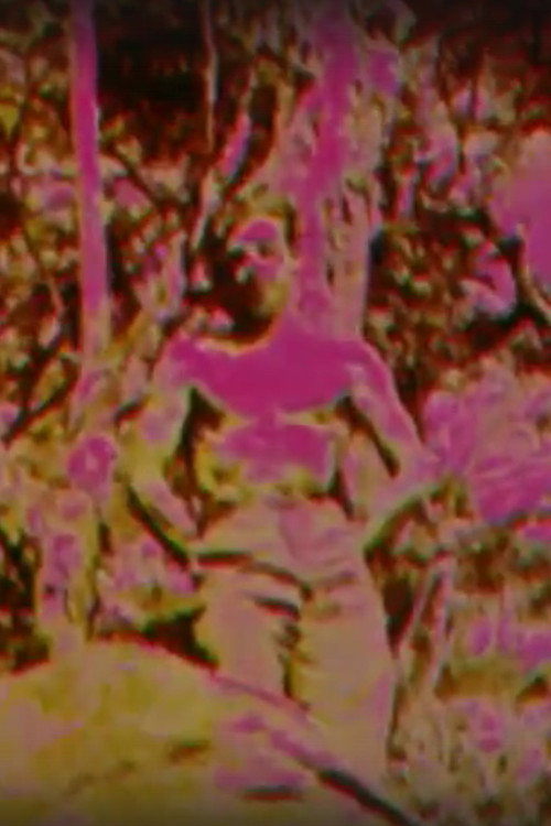 Album (1970) poster