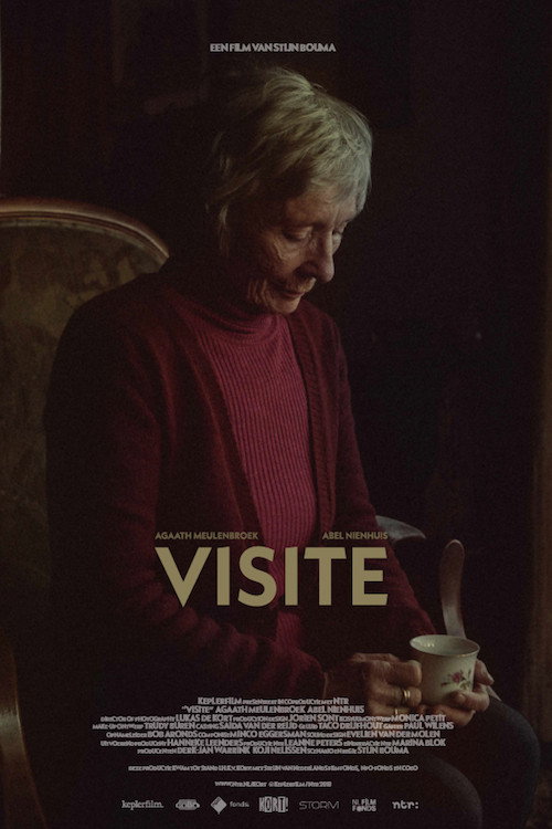 Visit (2018) poster