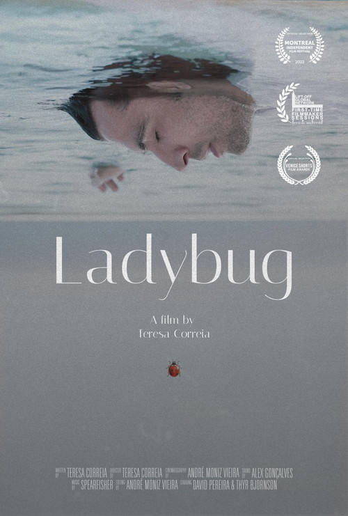 Ladybug (2022) poster