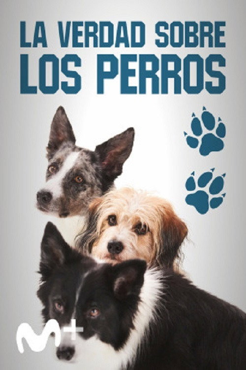 Dog Tales (2020) poster