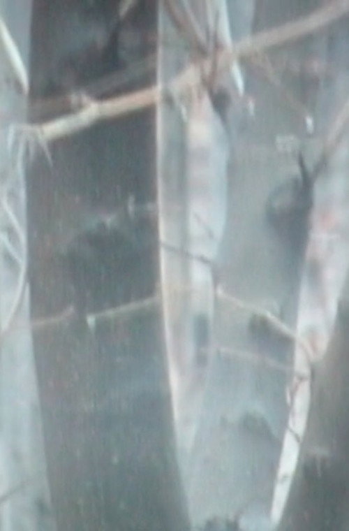 February (2010) poster