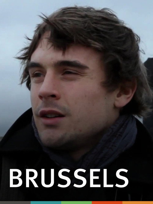 Brussels (2010) poster