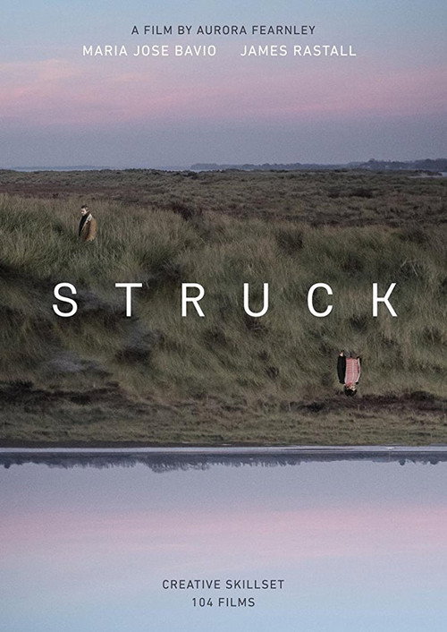 Struck (2017) poster