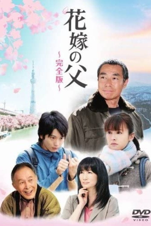Father of the Bride (2012) poster