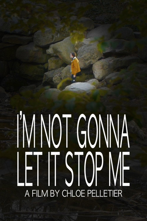 I'm Not Gonna Let It Stop Me