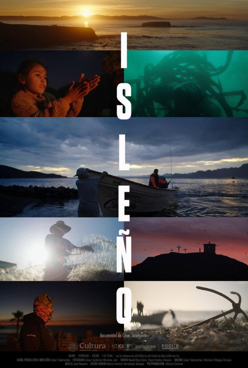 Islander (2025) poster