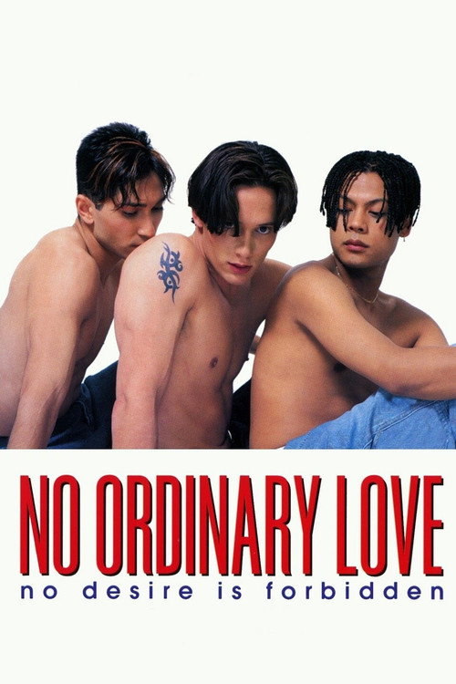 No Ordinary Love (1994) poster