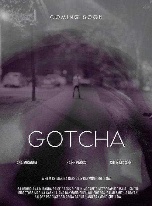 Gotcha poster