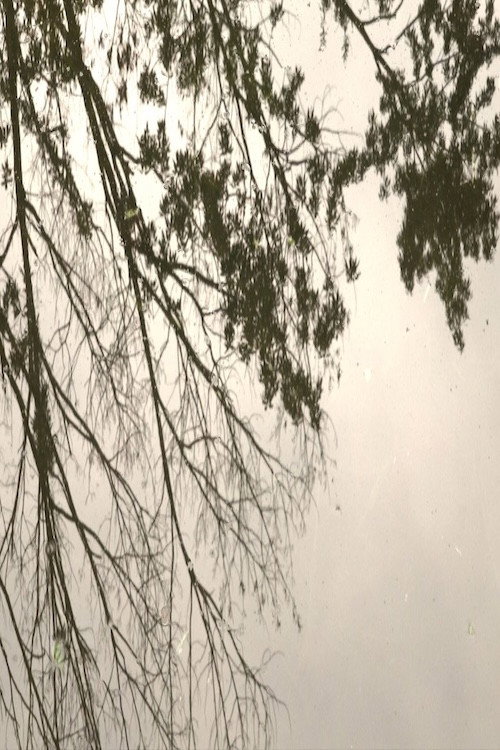 Walden (2022) poster