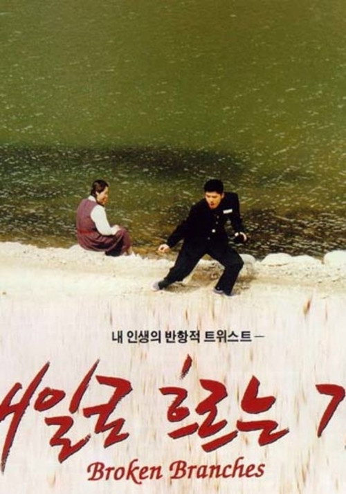 Broken Branches (1996) poster