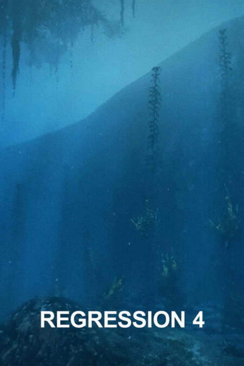 Regression 4 (2023) poster