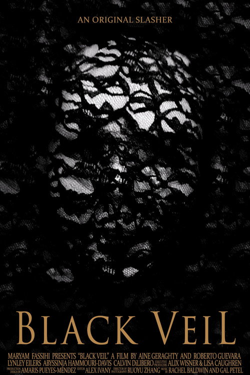 Black Veil (2024) poster