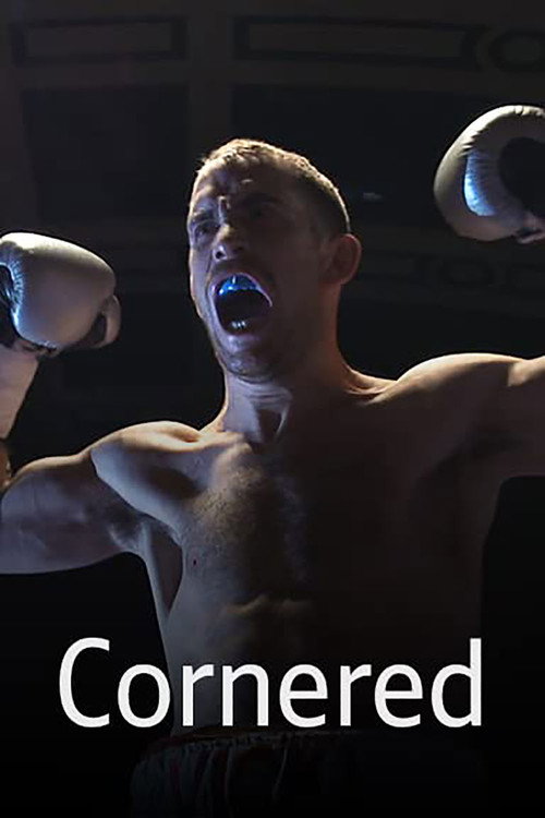 Cornered (2013) poster