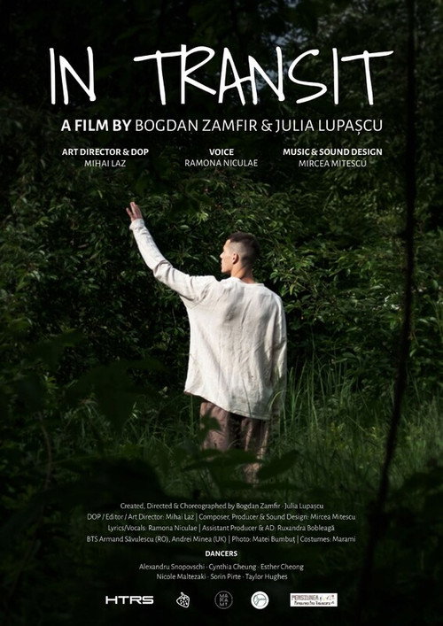 In Transit poster