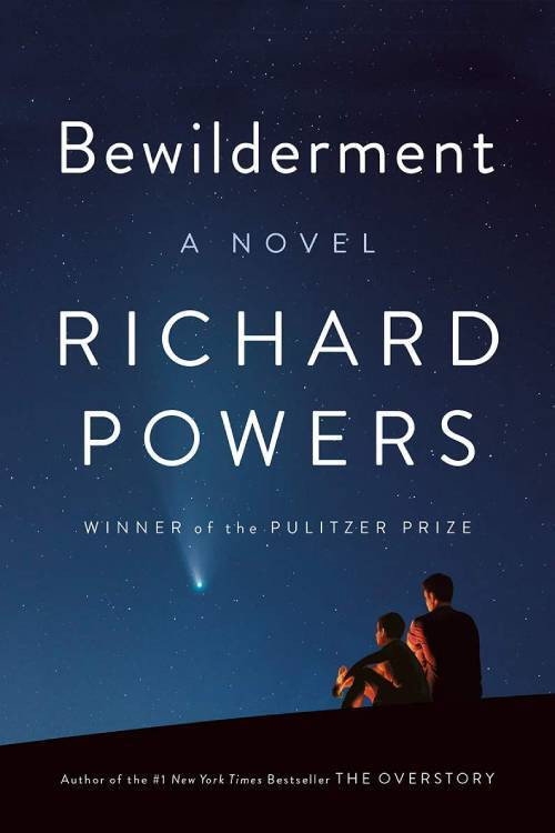 Bewilderment poster