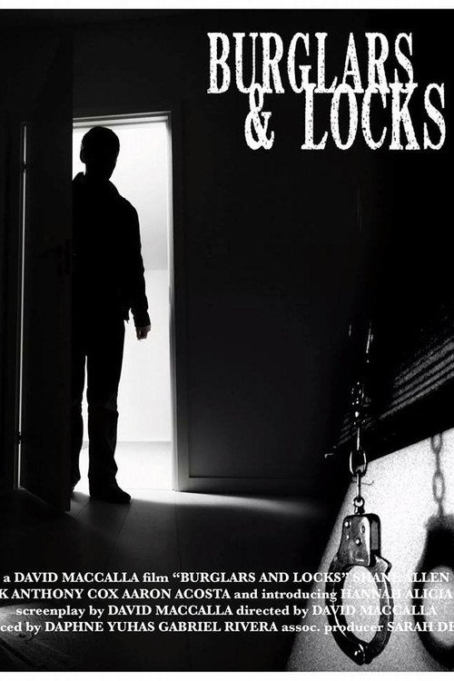 Burglars & Locks
