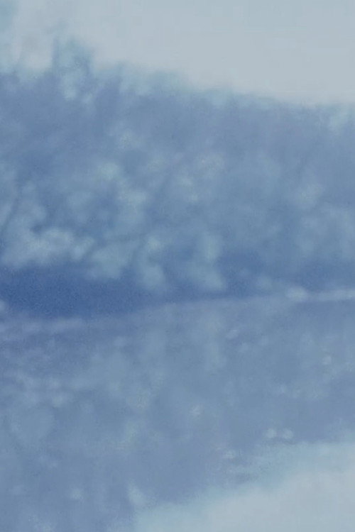 Consumed 4 (2001) poster