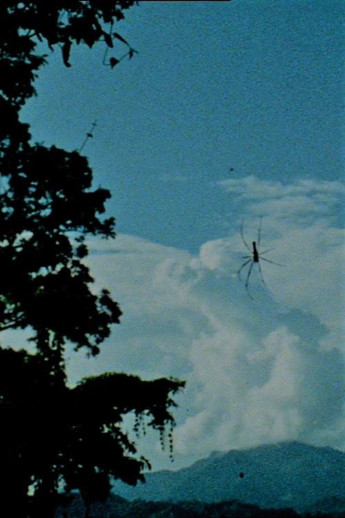 Ether (2003) poster