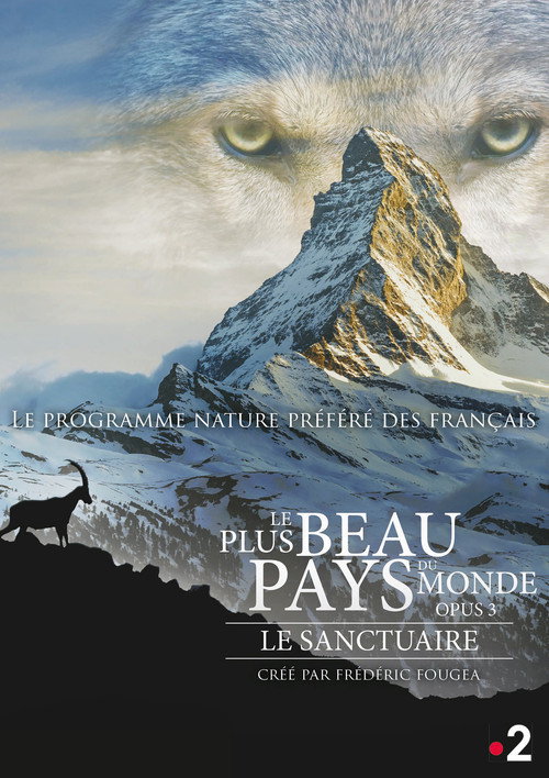 The Sanctuary: Survival Stories of the Alps