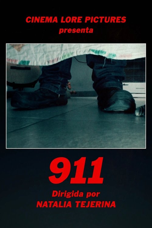 911 (2025) poster