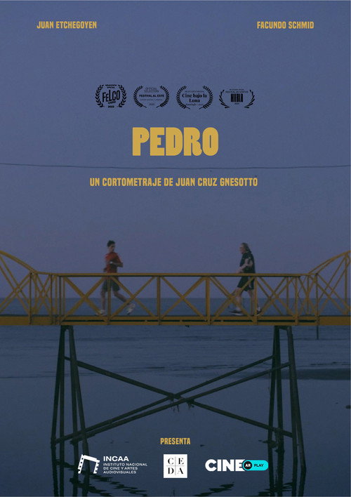 Pedro (2022) poster