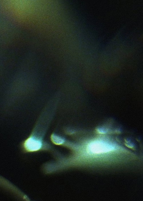 Prisms