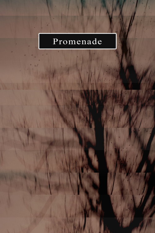 Promenade (2019) poster