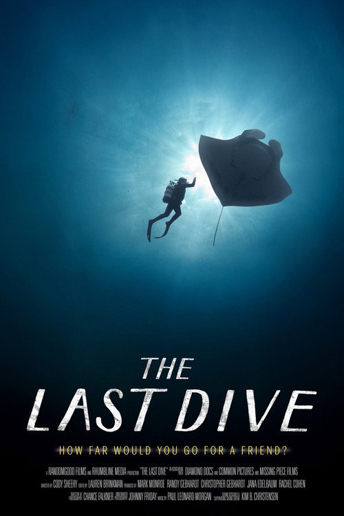 The Last Dive (2025) poster