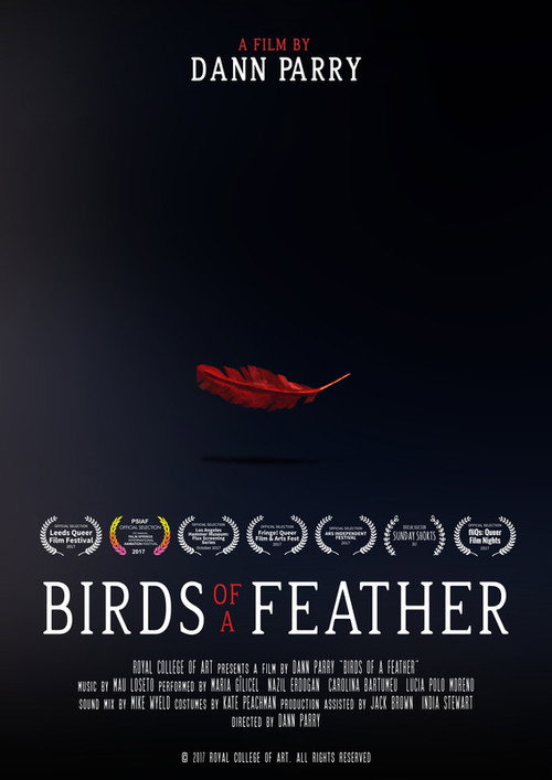 Birds of a Feather (2017) poster
