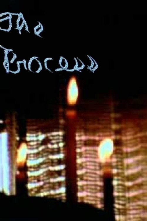 The Process (1972) poster