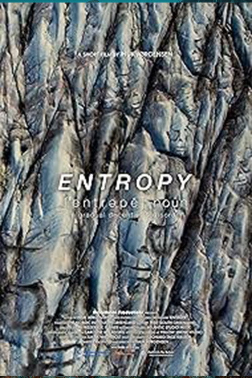 Entropy (2024) poster