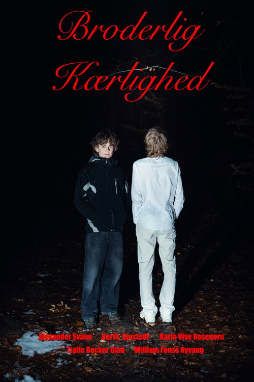 Brotherly love (2026) poster