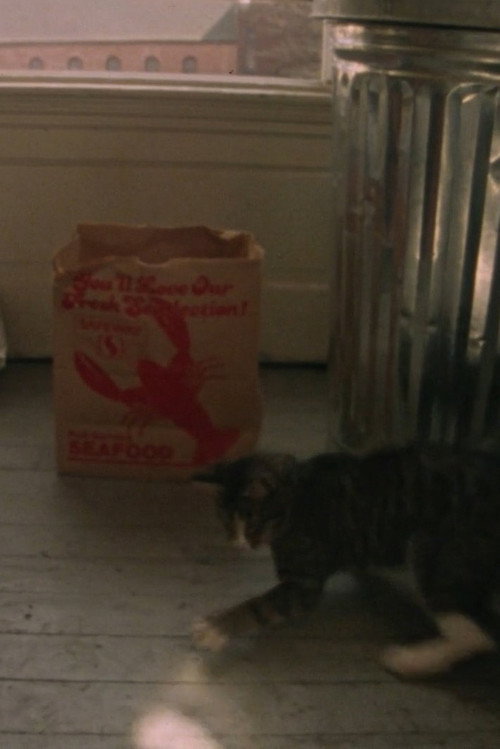 Junior (1988) poster