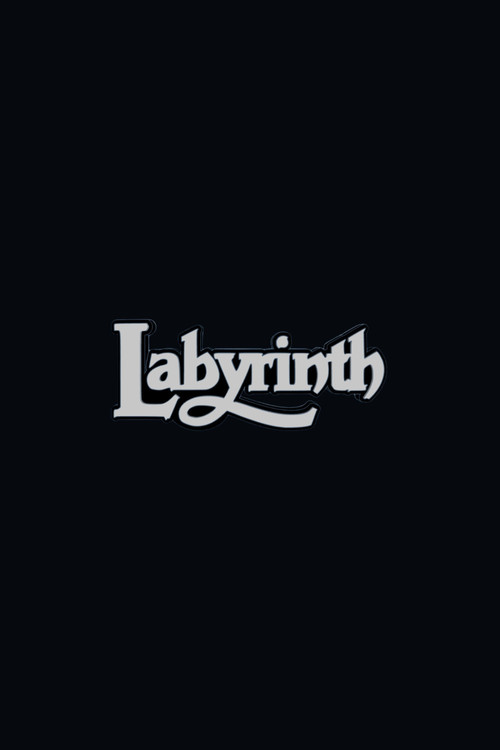 Labyrinth 2 poster