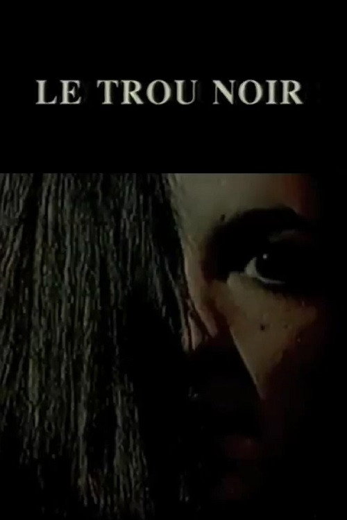 The Black Hole (1997) poster