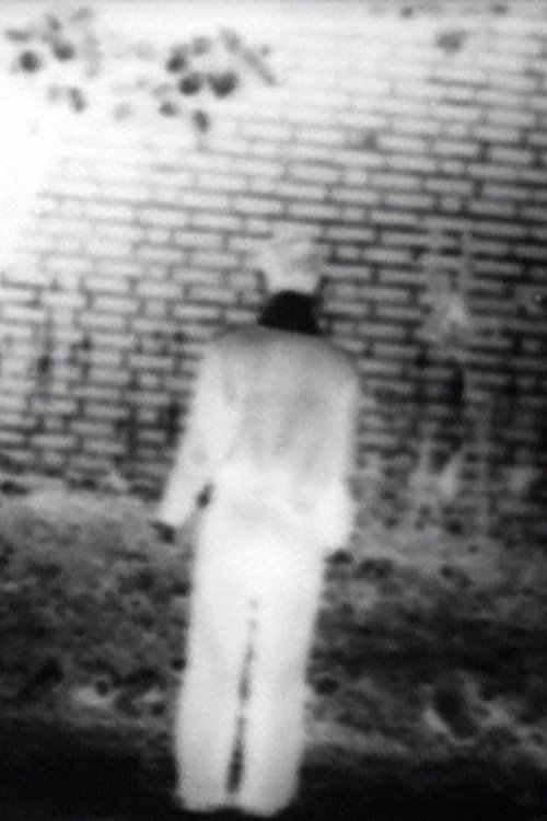Footsteps (1974) poster
