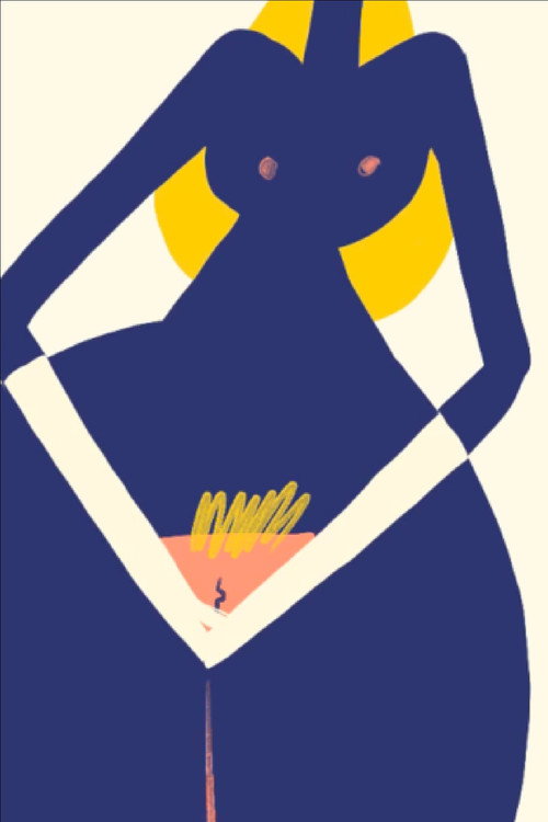 Private Parts (2016) poster