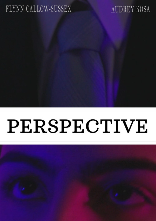 Perspective (2025) poster