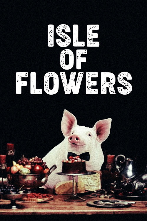 Isle of Flowers (1989) poster