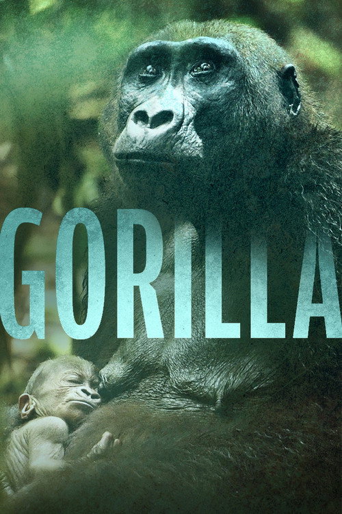 Gorilla (2024) poster