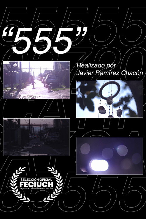 555 (2025) poster