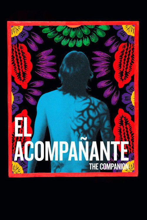 The Companion (2012) poster